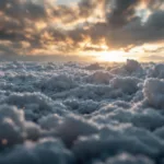 entdecken sie jetzt, welche gartenarbeiten in der aktuellen saison sinnvoll sind, um ihren garten gesund und schön zu halten.