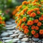entdecken sie diesen orange blühenden mini-strauch, der jeden mini-garten mit lebendiger farbe und charme zum blickfang macht.