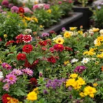 ein hobbygärtner zeigt dir, wie du rosmarin im alltag vielseitig und genial verwenden kannst – entdecke praktische tipps und kreative ideen für garten und küche.