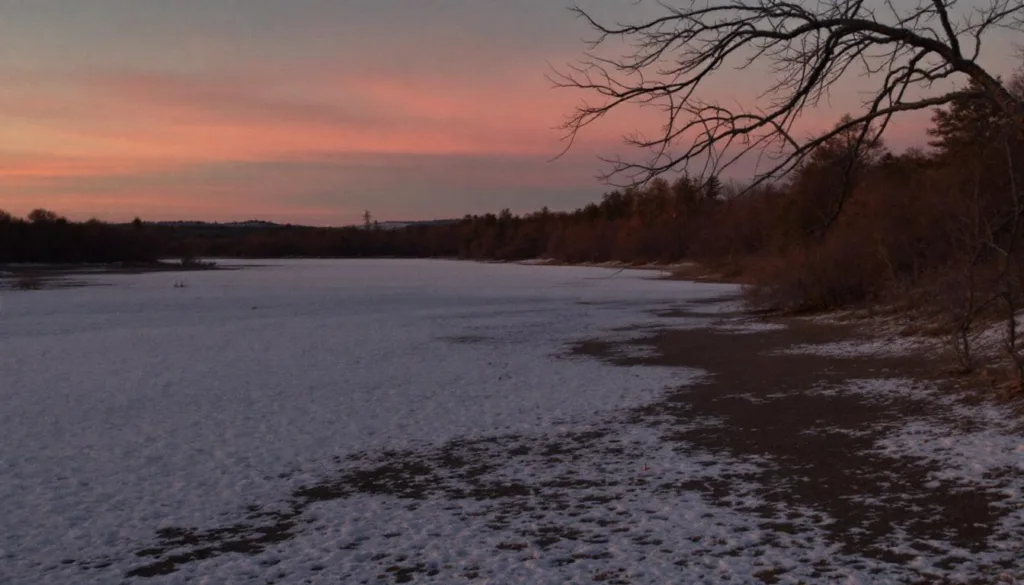 entdecken sie einen einfachen küchen-trick, mit dem ihre orchidee ohne dünger und spezialmittel wieder prachtvoll blüht.