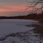 entdecken sie einen einfachen küchen-trick, mit dem ihre orchidee ohne dünger und spezialmittel wieder prachtvoll blüht.