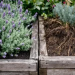 entdecken sie, warum immer mehr gemeinden lavendel und thymian verbieten, und erfahren sie die hintergründe dieser ungewöhnlichen pflanzverbote.